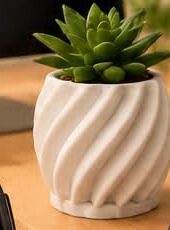 Vaso branco com textura espiral e suculenta
